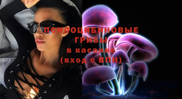 гидропоника Алзамай