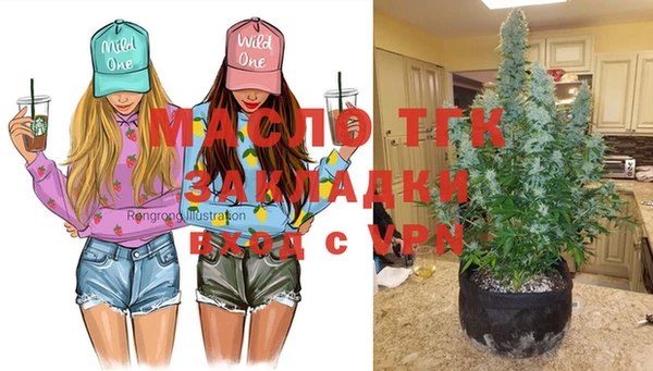 гидропоника Алзамай