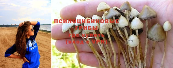 ALPHA PVP Алексеевка