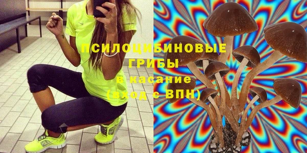 бошки Пролетарск
