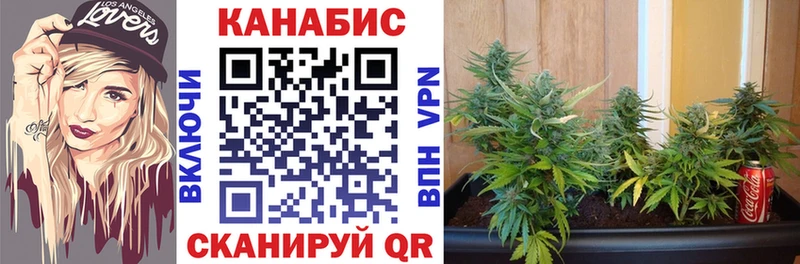 hydra ссылки  купить наркоту  Канаш  Шишки марихуана план 